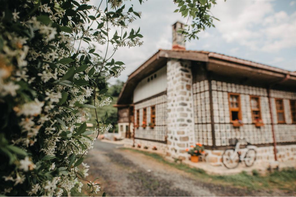 Rize Fındıklı Hostel