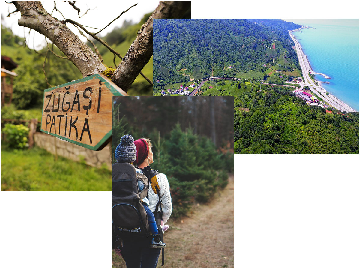 Trekking and Mountaineering